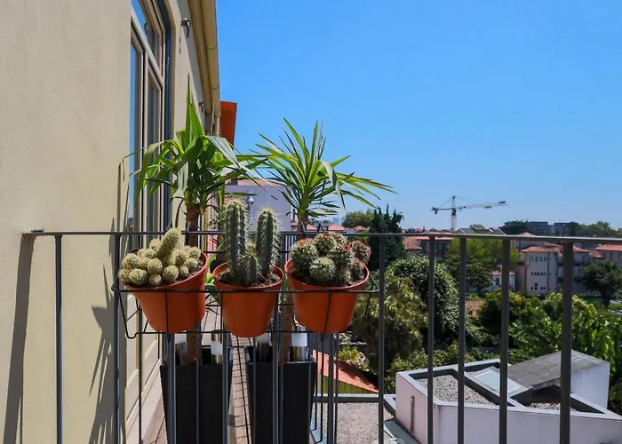 Cedofeita Charming Flat Appartement Oporto