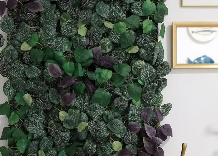 Cedofeita Charming Flat Apartment