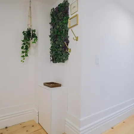 Апартаменты Cedofeita Charming Flat Порту