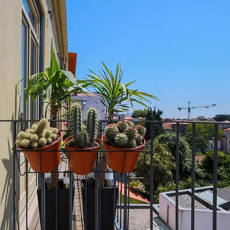Cedofeita Charming Flat Апартаменты Порту