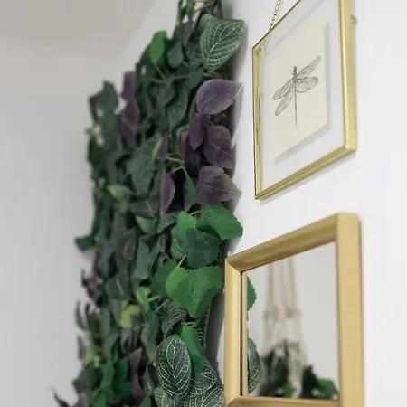Cedofeita Charming Flat Апартаменты *