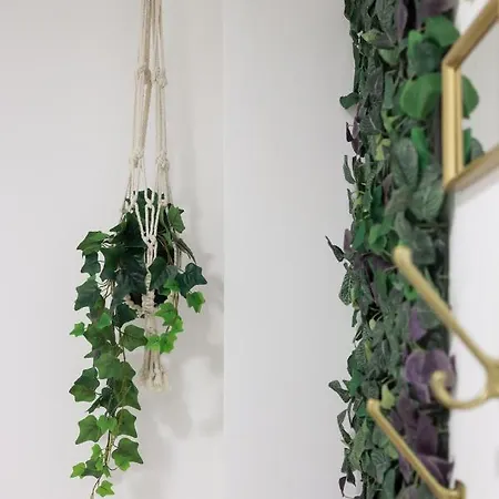 Апартаменты Cedofeita Charming Flat