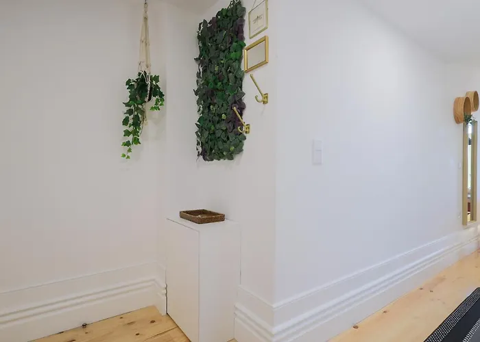 Διαμέρισμα Cedofeita Charming Flat Πόρτο