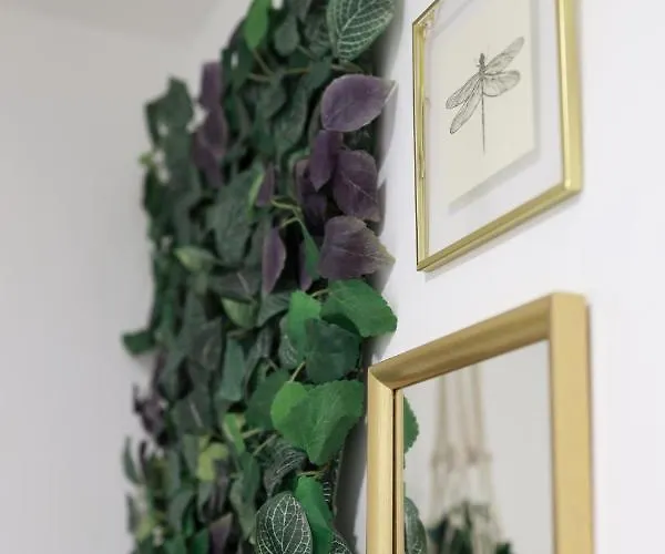 Cedofeita Charming Flat Διαμέρισμα *